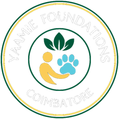 Yaamie Foundations emblem
