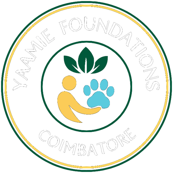 Yaamie Foundations emblem