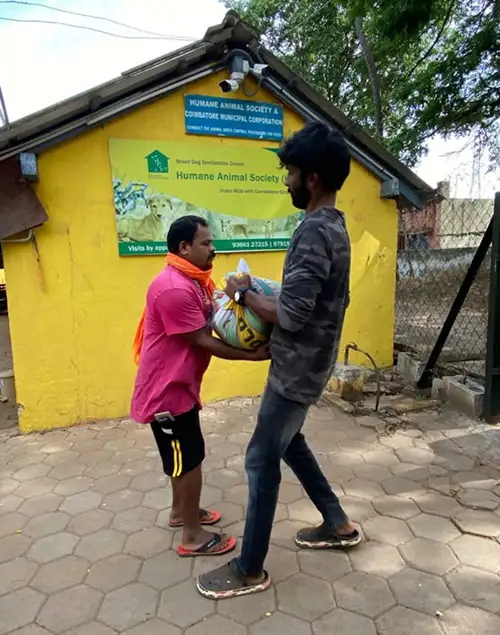 Volunteers delivering rice for shelter dogs